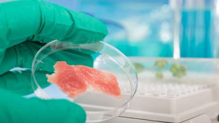Israel planea producir carne de pollo sin cría ni matanza de animales