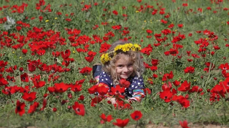 flores