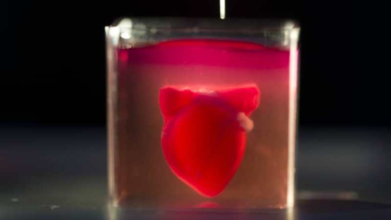 Científicos israelíes 'imprimen' el primer corazón 3D del mundo con tejido humano