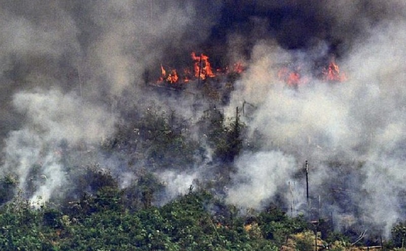 Israel envía un grupo para ayudar a Brasil a combatir los incendios en la Amazonia