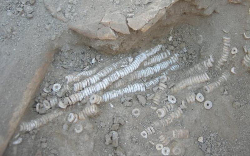 Aldea de adobe sobrevivió 7.200 años en el valle del Jordán