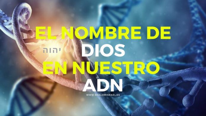 El Nombre de DIOS en nuestro ADN