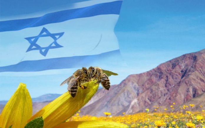 Israel: Una tierra que fluye leche y miel