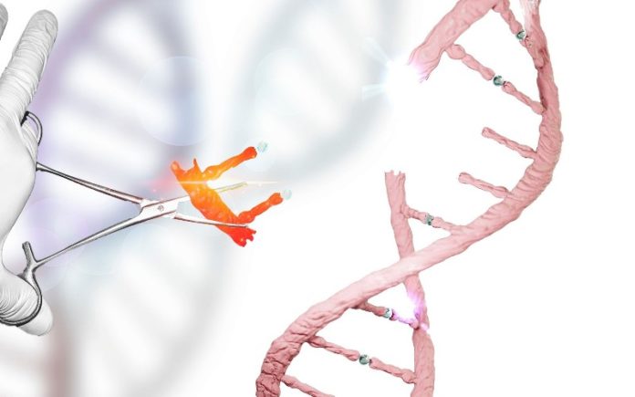 Israel apunta a habilitar ediciones de ADN humano sin precedentes, para ayudar a curar enfermedades