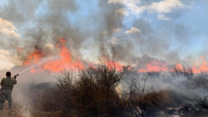 Las FDI alcanzaron 100 objetivos de Hamas en agosto en respuesta a los ataques desde Gaza