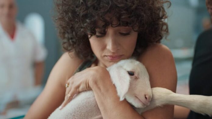 Por qué los israelíes están liderando la revolución vegana