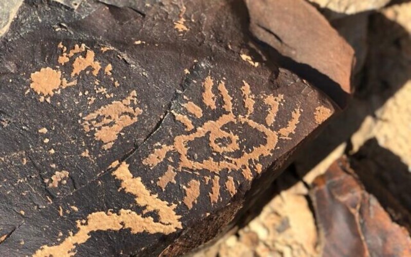 Grabados de rocas antiguas en la remota meseta del Negev evocan la Biblia y atraen un nuevo interés
