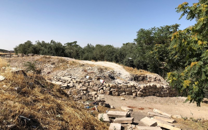 La pionera e intrépida arqueóloga bíblica Eilat Mazar fallece a los 64 años