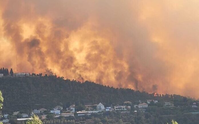 Enorme incendio forestal en el área de Jerusalén arde en la noche mientras la policía busca a un hombre desaparecido