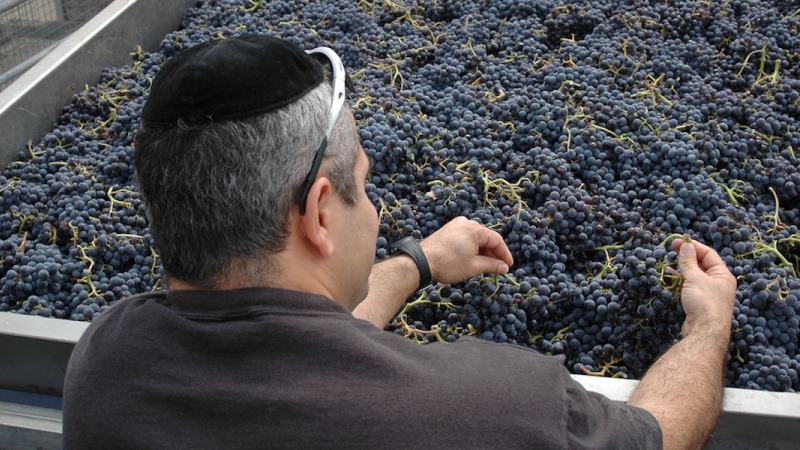 500 años después de la Inquisición, España finalmente tiene una vibrante industria del Vino Kosher