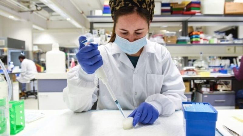 Ingenieros de tejidos israelíes imprimen una oreja en 3D Ingenieros de tejidos israelíes imprimen una oreja en 3D