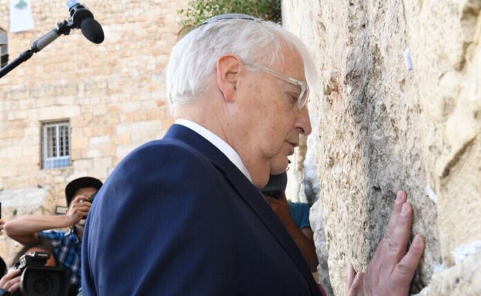 David Friedman