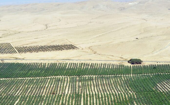 No perdamos la oportunidad de hacer de Israel un líder en tecnología climática