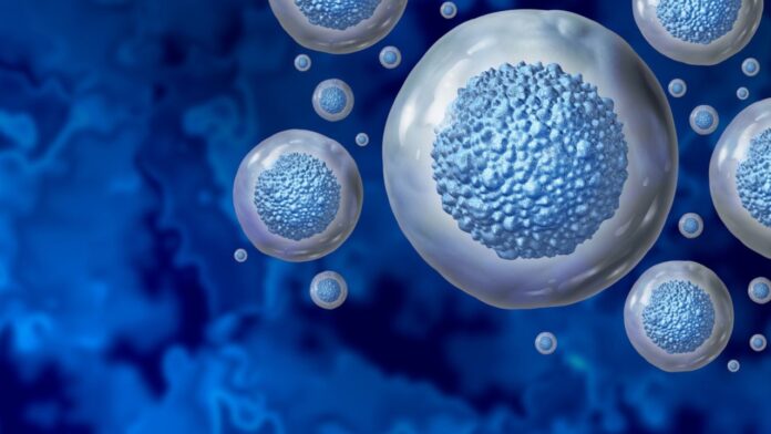 Laboratorio israelí cultiva protoesperma a partir de células madre, en un potencial avance de la fertilidad