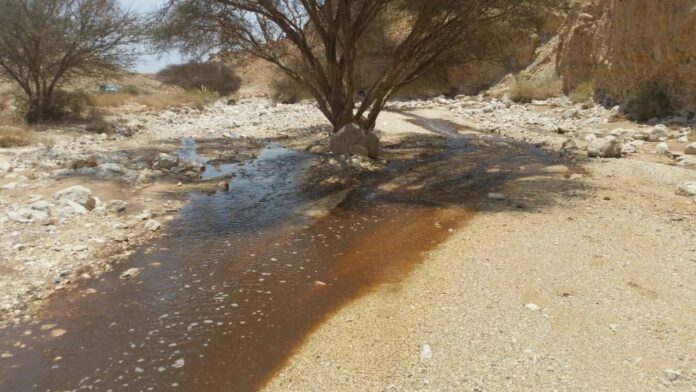 Los científicos encuentran la forma de reciclar las aguas residuales de ácido fosfórico de la industria de fertilizantes Los científicos encuentran la forma de reciclar las aguas residuales de ácido fosfórico de la industria de fertilizantes