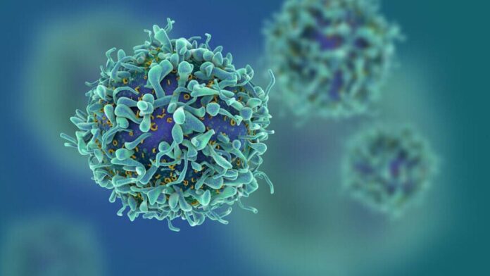 Los israelíes lideran la búsqueda de tratamientos innovadores contra el cáncer