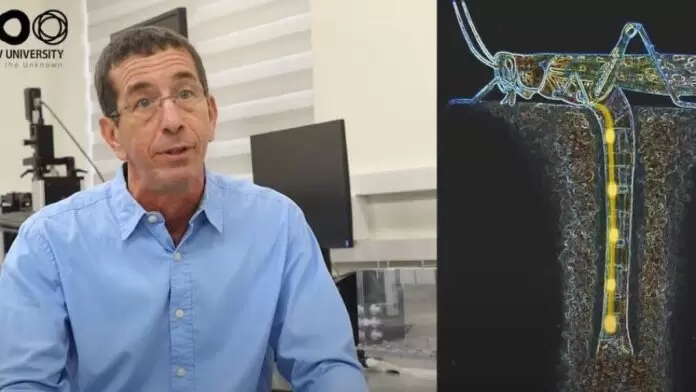 Investigadores israelíes descubren propiedades 