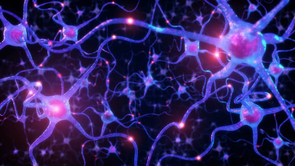 Imagen ilustrativa: neuronas dentro del cerebro humano.