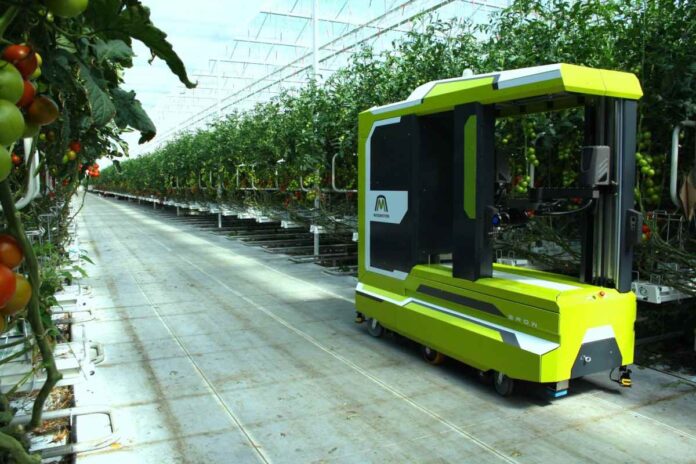 Una startup israelí desarrolla el primer robot con inteligencia artificial para recoger tomates