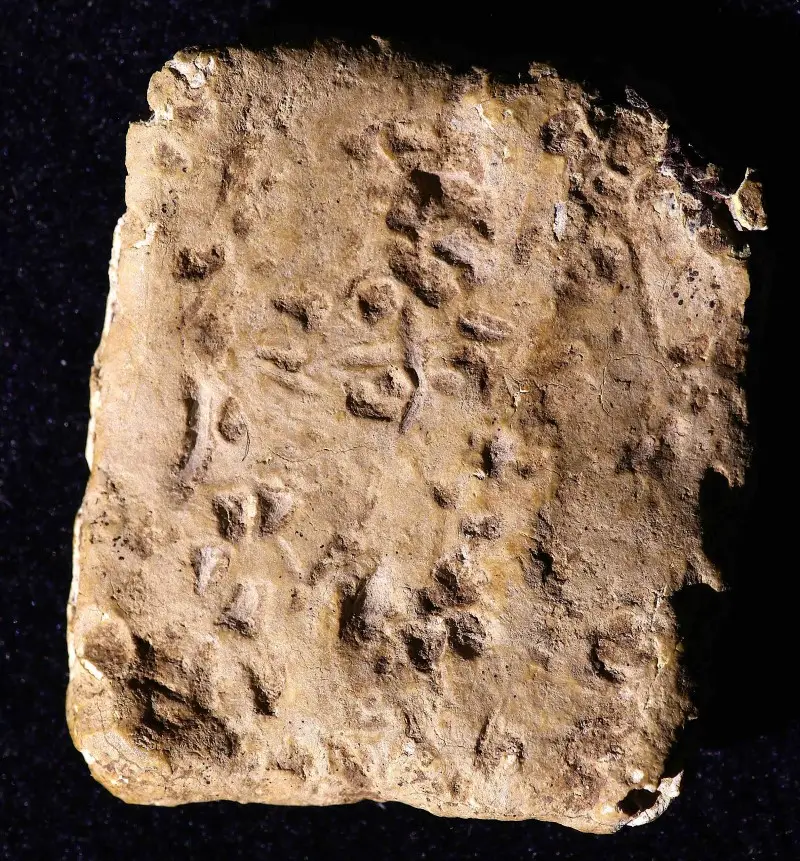 Eruditos exponen la tableta de la maldición del Monte Ebal con el texto hebreo más antiguo