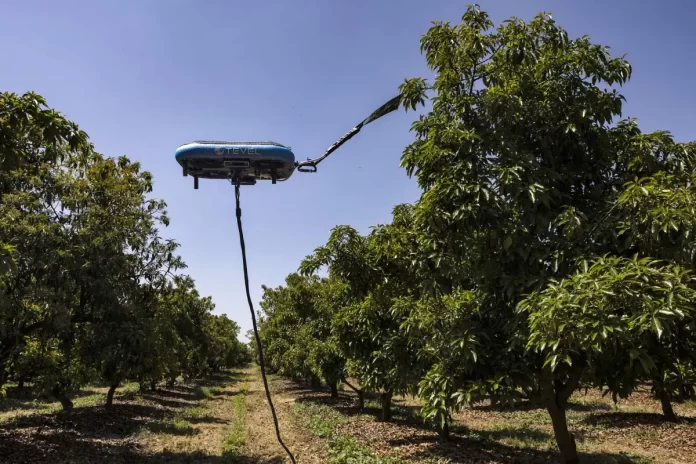 Pioneros israelíes en tecnología utilizan drones, inteligencia artificial y macrodatos para la agricultura del futuro Pioneros israelíes en tecnología utilizan drones, inteligencia artificial y macrodatos para la agricultura del futuro