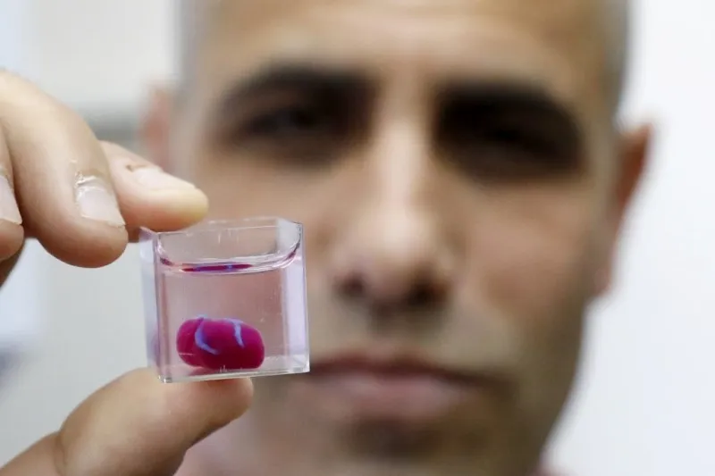 El profesor Tal Dvir presenta una impresión en 3D de un corazón con tejido humano en la Universidad de Tel Aviv.