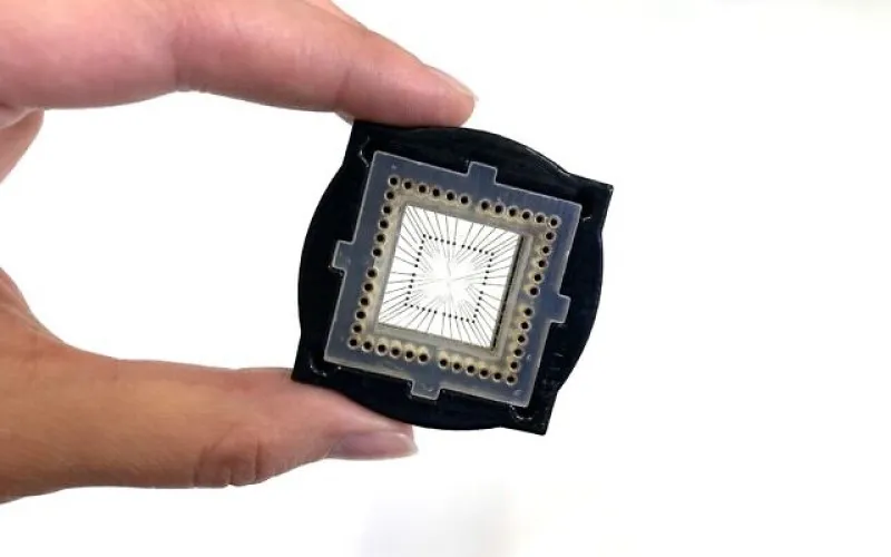 Microchip utilizado para producir micromodelos de corazón humano.