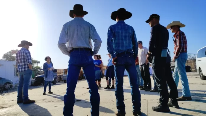 Vaqueros de la Salvaje Cisjordania_ Voluntarios Estadounidenses que _Poseen Armas y Aman a Israel_ Ofrecen Ayuda en Crisis Agrícola Voluntarios Estadounidenses