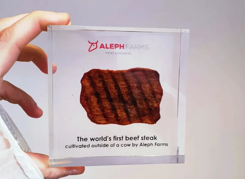 Israel Revoluciona la Industria Alimentaria al Aprobar la Venta de Carne Vacuna Cultivada en Laboratorio Israel Revoluciona la Industria Alimentaria al Aprobar la Venta de Carne Vacuna Cultivada en Laboratorio