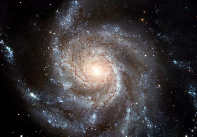 El descubrimiento innovador de los científicos israelíes del Instituto Weizmann revelando el nacimiento de las supernovas