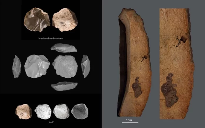 Artefactos prehistóricos de Israel_ Evidencia de arte y pensamiento abstracto hace 100.000 años Artefactos prehistóricos