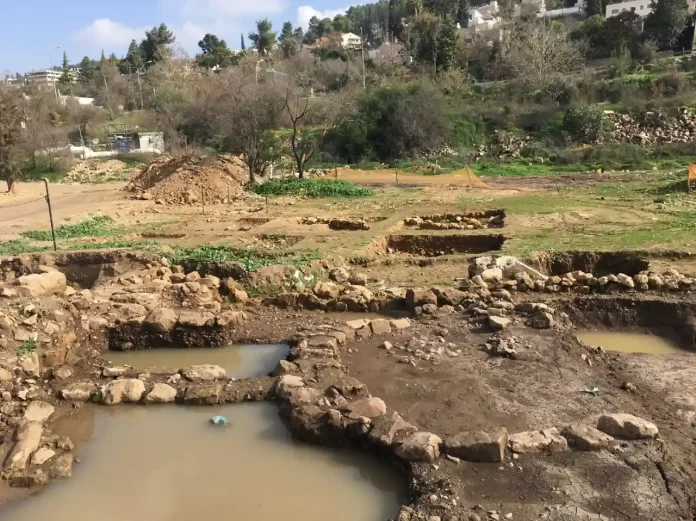 Según un estudio israelí, una oleada de incendios hace 8.000 años obligó a los humanos a convertirse en agricultores incendios hace 8.000
