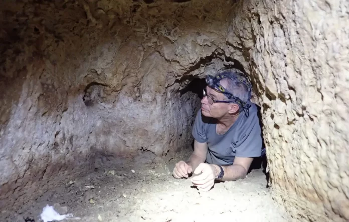 Ingeniería hidráulica mameluca