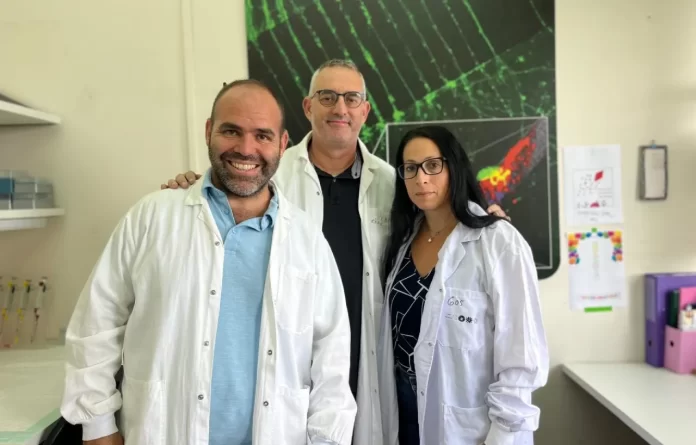 Terapia Génica con ARN