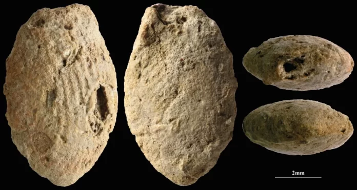 Cuenta de arcilla prehistórica del período Natufiense Final, coloreada con ocre rojo, con huellas de un niño de hace 12.000 años, hallada en Eynan-Mallaha, norte de Israel