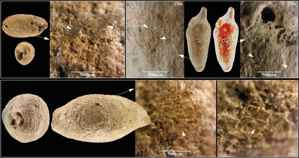 Hallan en Israel la mayor colección de cuentas prehistóricas de arcilla del mundo, con huellas dactilares de niños de hace 12.000 años