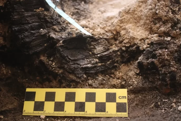 Vigas de madera calcinadas del período del Primer Templo descubiertas en excavaciones de la Ciudad de David, Jerusalén.